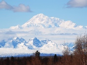 Denali National Park