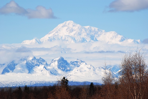 Denali National Park