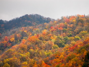 Great Smoky Mountain National Park