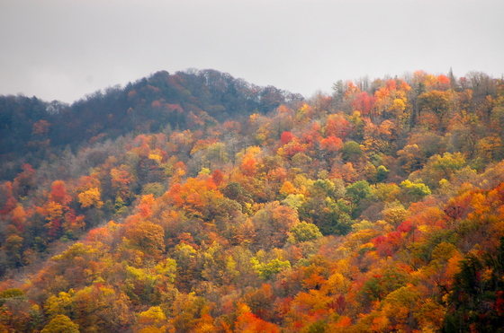 Great Smoky Mountain National Park