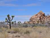 Joshua Tree National Park