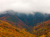 Great Smoky Mountain National Park