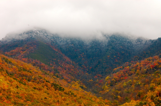 Great Smoky Mountain National Park