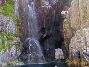 Kenai Fjords National Park
