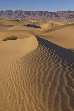 Death Valley National Park