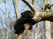Smoky Mnt National Park