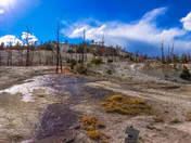 Yellowstone National Park
