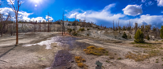 Yellowstone National Park