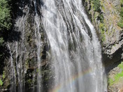 Mt. Rainier National Park