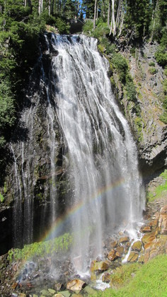 Mt. Rainier National Park