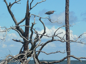 Gulf islands National Seashore