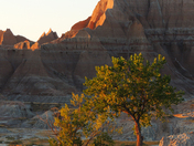 Badlands National Park