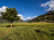 Rocky Mountain National Park