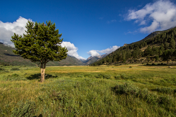 Rocky Mountain National Park