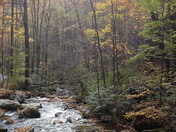 Chattahoochee National Forest