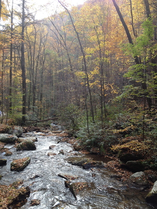 Chattahoochee National Forest