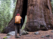 Yosemite Nationl Park
