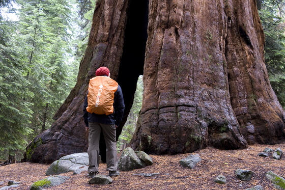 Yosemite Nationl Park