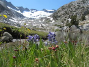 yosemite national park