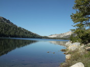 Yosemite National Park