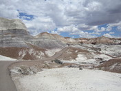 Petrified Forest National Park