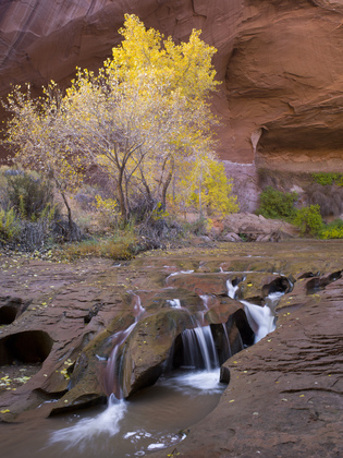 Grand Staircase-Escalante National Monument