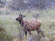 Rocky Mountain National Park