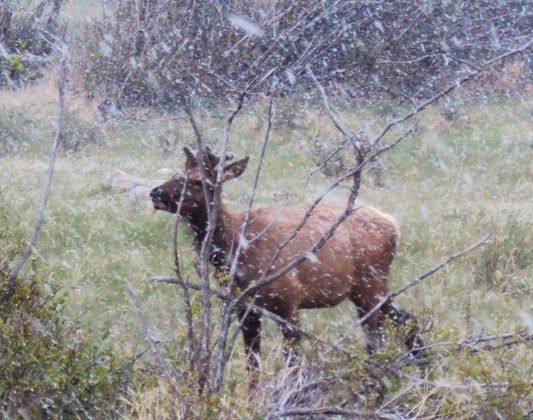 Rocky Mountain National Park