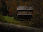 Daniel Boone National Forest