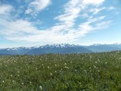Olympic National Park