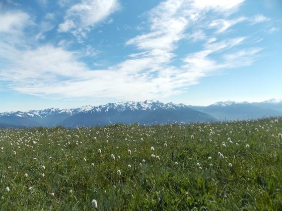 Olympic National Park