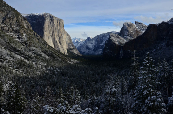 Yosemite National Park