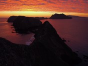 Anacapa Island, Channel Islands National Park
