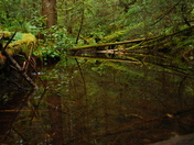 Olympic National Park