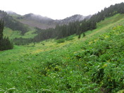 Mount Baker-Snoqualmie National Forest