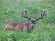 Yosemtie National Park