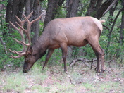 Grand Canyon National Park