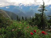 Mount Baker-Snoqualmie National Forest