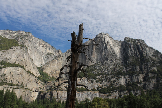 Yosemite National Park