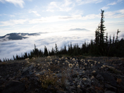 Mount Rainier National Park