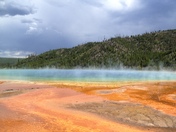 Yellowstone National Forest
