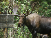 Rocky Mountain National Park