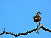 Florida Everglades National Park