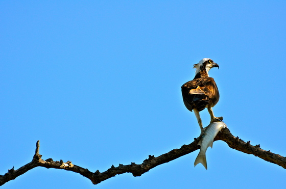 Florida Everglades National Park