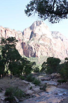 Zion National Park