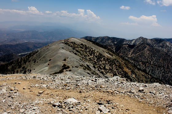Angeles National Forest