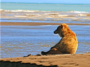 Lake Clark National Park, Alaska