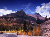 Shoshone national Forest