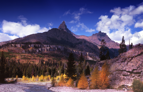 Shoshone national Forest