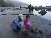 Redwood National Park